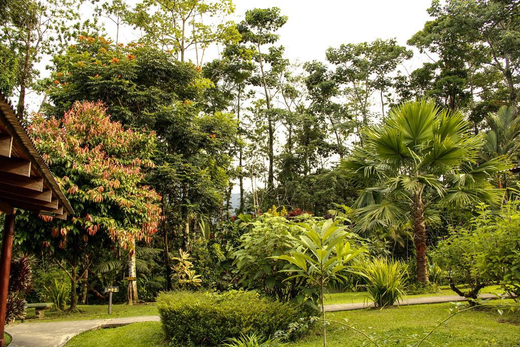 Catarata Eco Lodge La Fortuna Екстер'єр фото