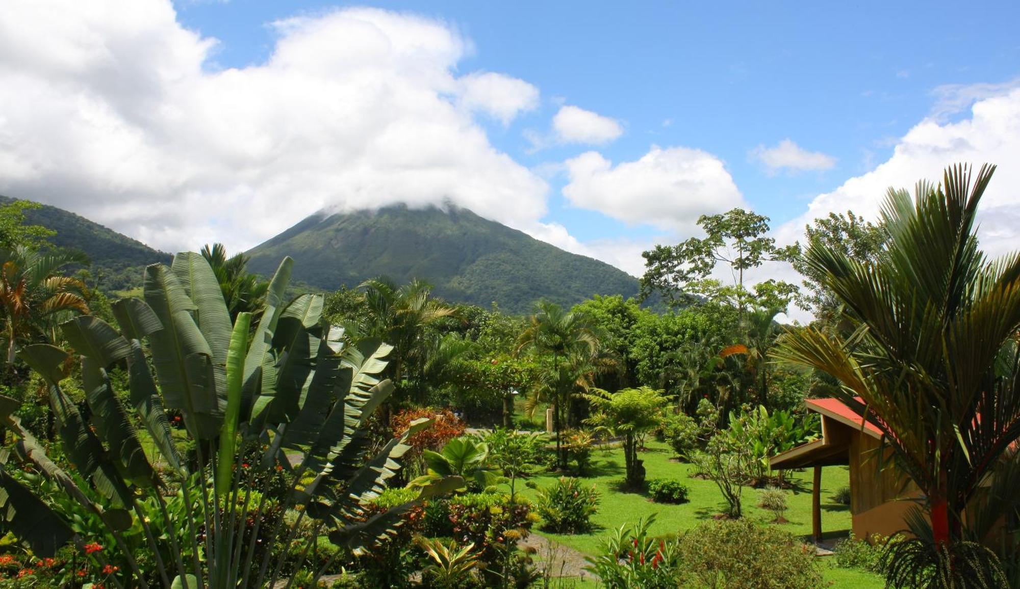 Catarata Eco Lodge La Fortuna Екстер'єр фото
