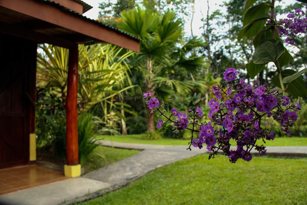 Catarata Eco Lodge La Fortuna Екстер'єр фото