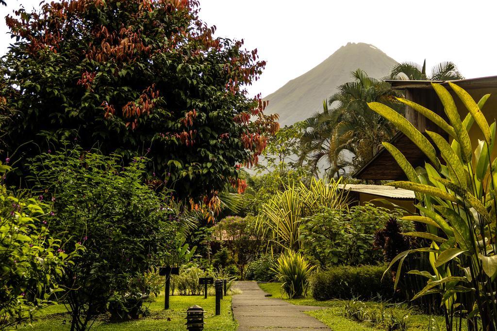 Catarata Eco Lodge La Fortuna Екстер'єр фото