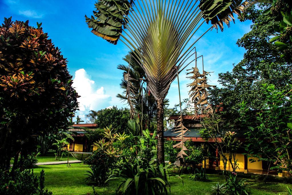 Catarata Eco Lodge La Fortuna Екстер'єр фото